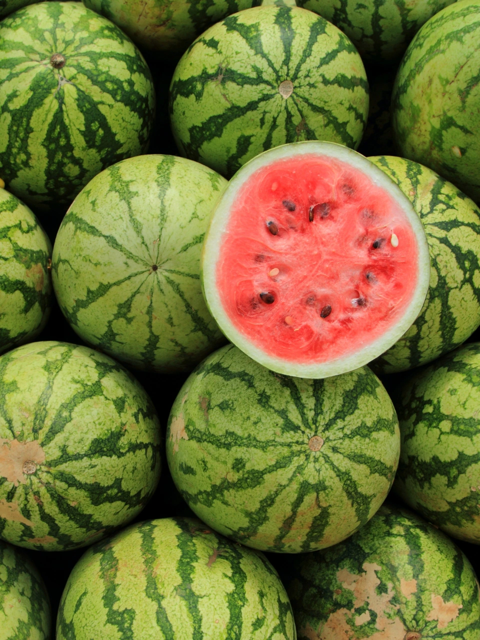 12. watermelon