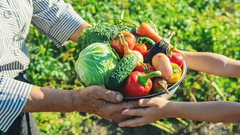 agricultura