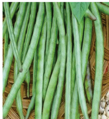 captura de pantalla 2025 07 27 135523