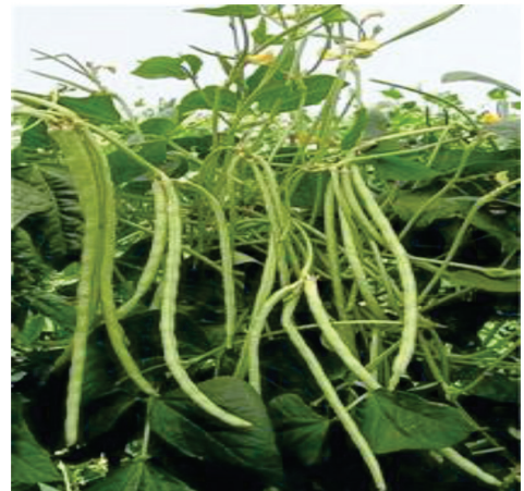 captura de pantalla 2025 07 27 135618