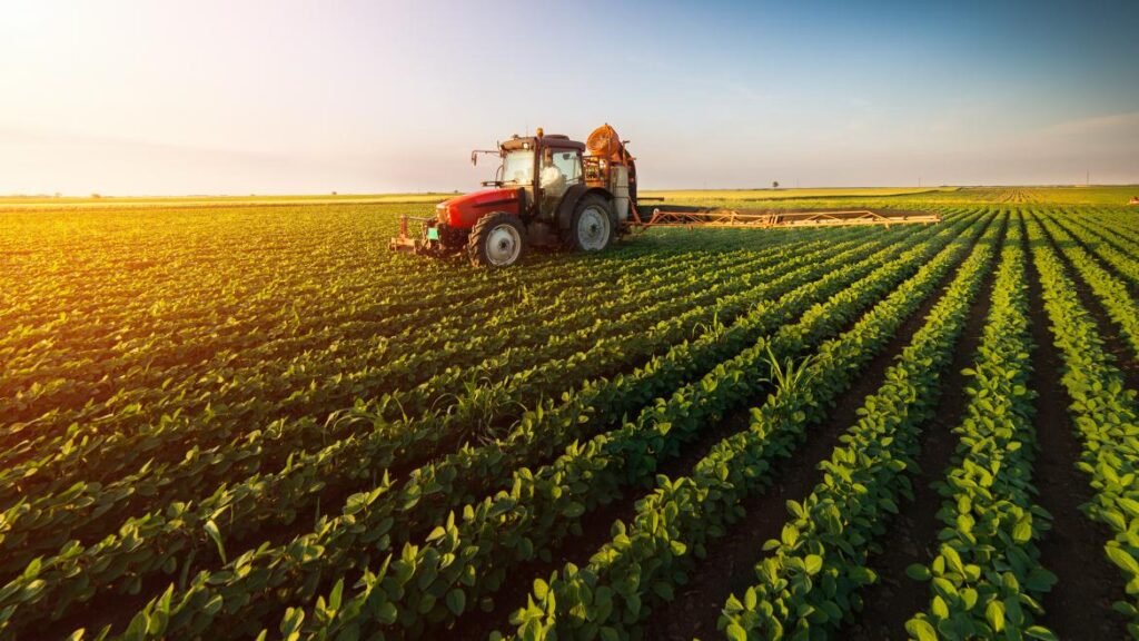 agencia de marketing digital agricultura