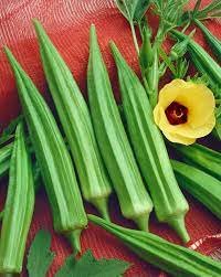 images (1)